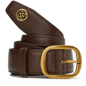 Circle G's Webbed Belt Espresso - AW24