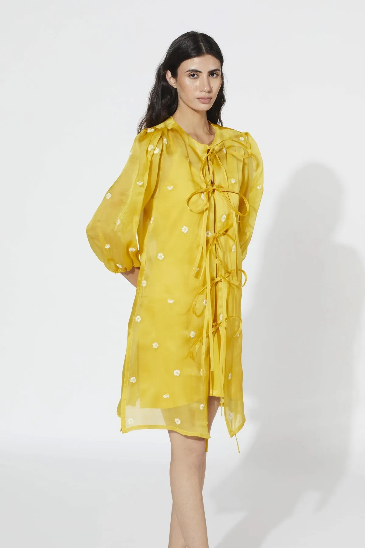 Ophelia Daisy Dress