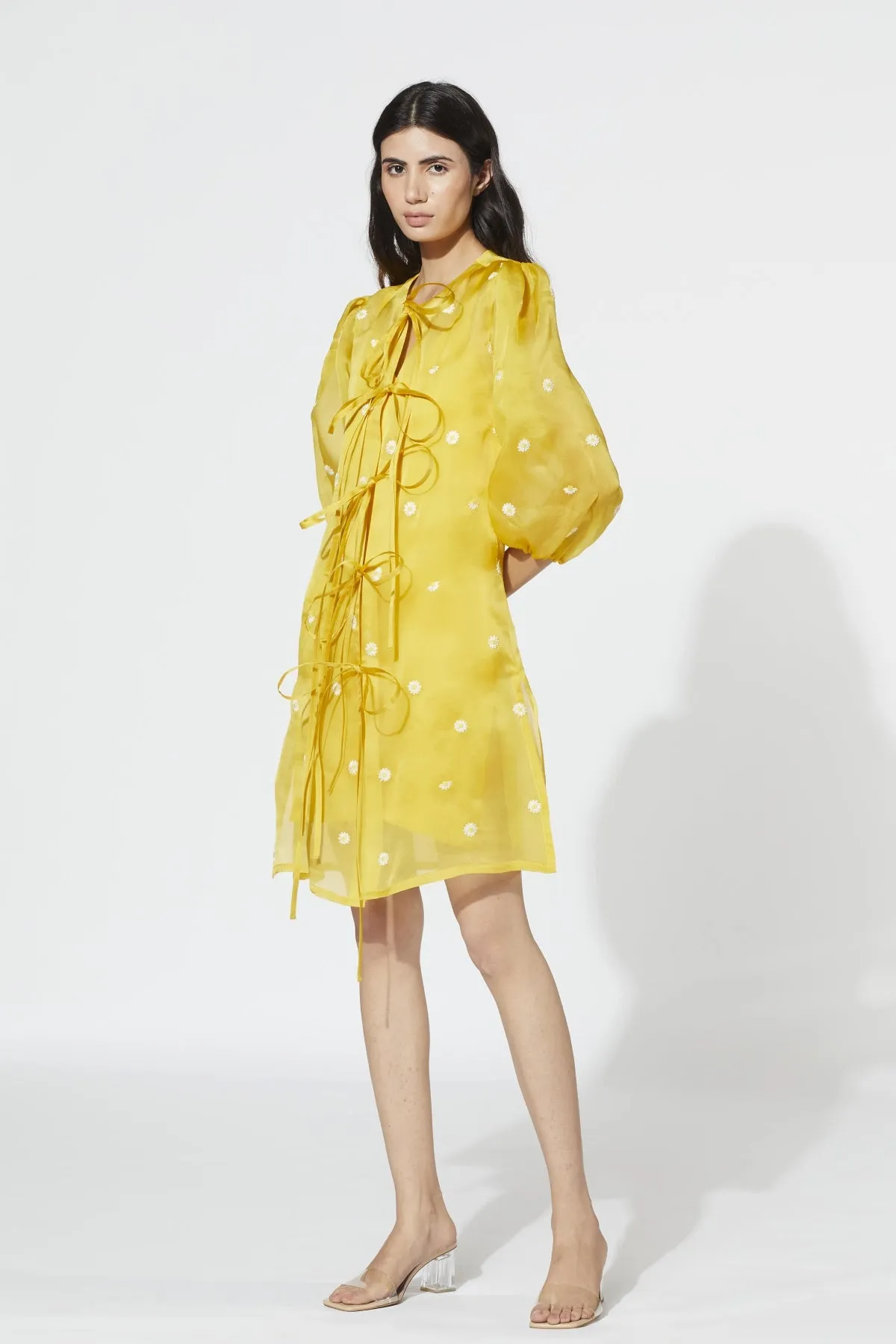 Ophelia Daisy Dress